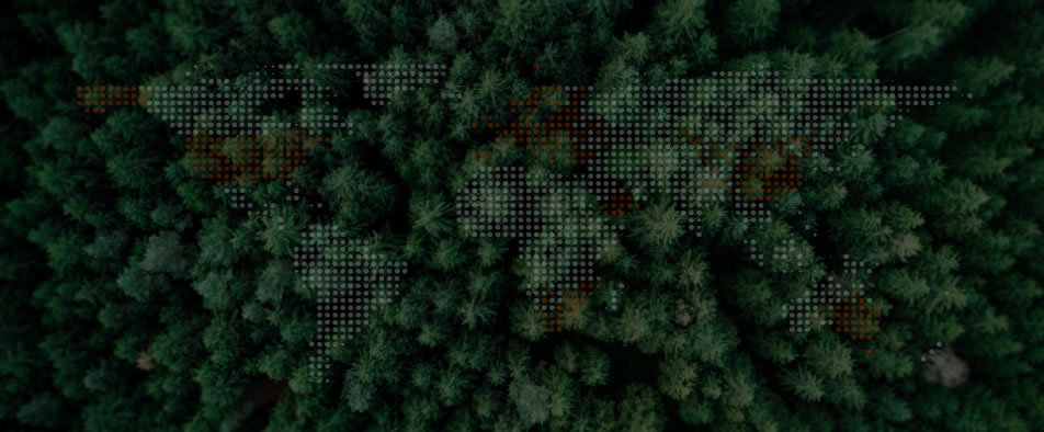 c7c7娱乐平台全球零碳案例