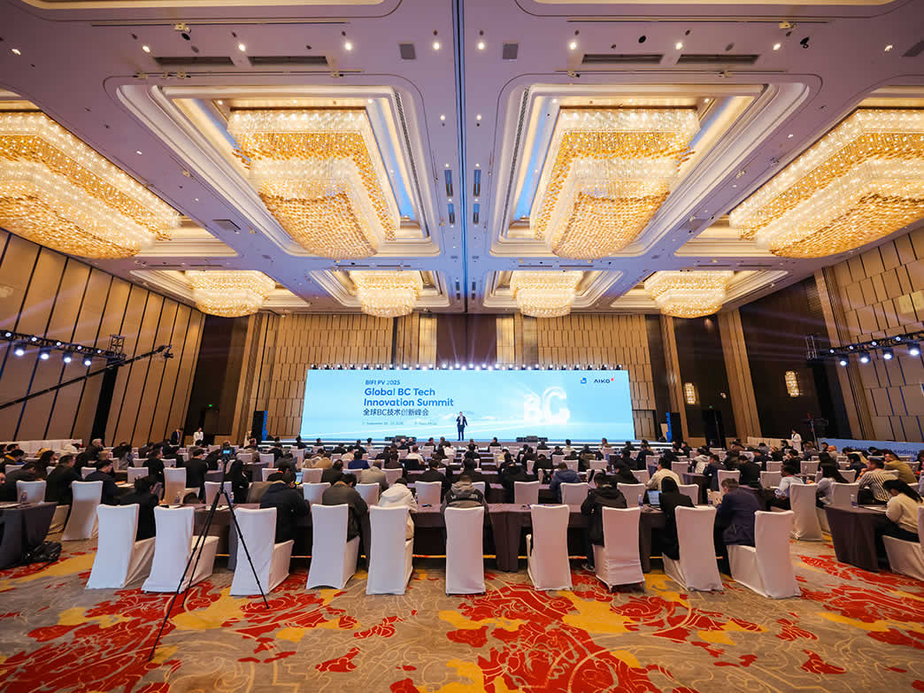 BC引领光伏价值新时代，，，，，，，，全球BC手艺立异峰会乐成举行